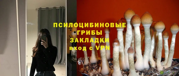 крисы Алексин