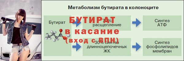 крисы Алексин