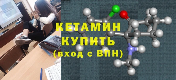 крисы Алексин