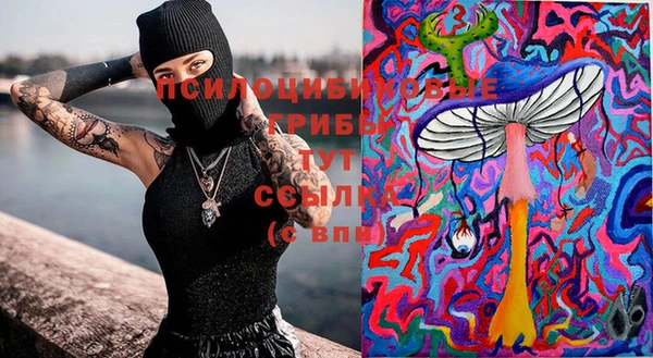 скорость Алзамай